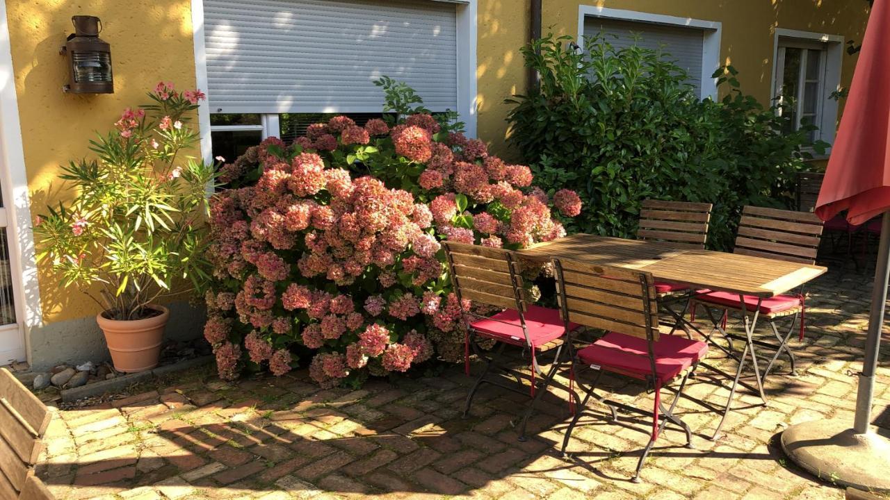 Landhotel Kiebitzort Ruegen Ummanz Eksteriør bilde