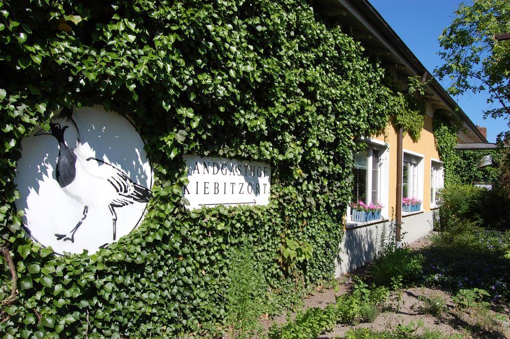 Landhotel Kiebitzort Ruegen Ummanz Eksteriør bilde